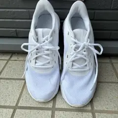 26センチ