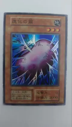 2026年最新】遊戯王 進化の繭の人気アイテム - メルカリ