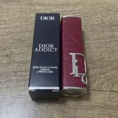 ディオール　リップケース　BRICK CANNAGE