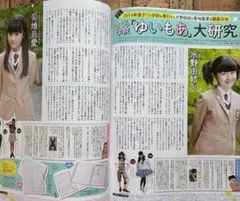 山本彩 生写真 水着 AKB48 グループ オフィシャルカレンダー 2017
