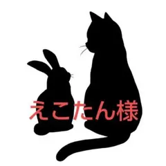 えこたん様専用ページ