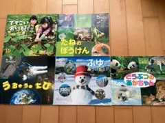 Item thumbnail for item c850074b-4a13-46c1-804c-3f554ba112ec