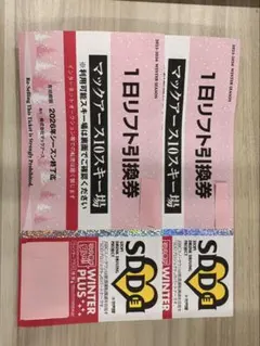 スキー場 1日リフト引換券2枚　黒姫高原　Mt. KOSHA 箱館山　氷ノ山国際