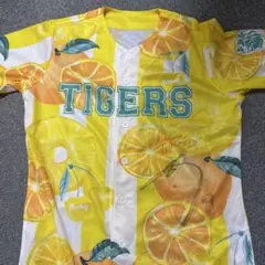 Item thumbnail for item 39cf32b5-7f77-428f-92a9-8ccdc31a9977