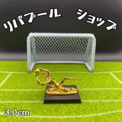 【新品未使用】 プレミアリーグ 最優秀ゴールキーパー トロフィー ミニ サッカー