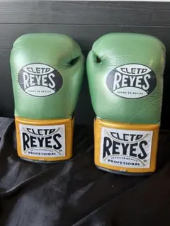 新品未開封 Cleto Reyes レイエス トレーニンググローブ 10oz 新品未開封 Cleto Reyes レイエス トレーニンググローブ 10oz - メルカリ
