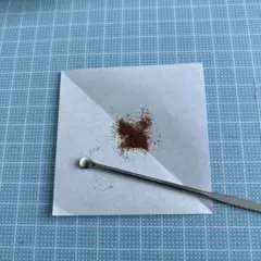 ビカクシダ フーンシキ 胞子のサムネイル