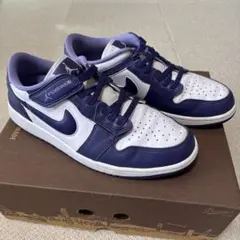 【おまけ付き】NIKE AIR JORDAN 1 FLY EASE 29cm