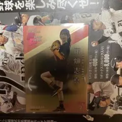 BBM 2nd 2025 田畑志真 インサートカード