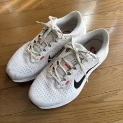 NIKE Winflo スニーカー ホワイト