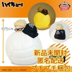 ハイキュー!! すやすやルームライト 月島 蛍