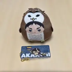 ハイキュー‼︎ 赤葦京治