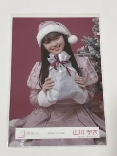 新品】櫻坂46 井上梨名 2025年 サンタ衣装 生写真 座り - メルカリ