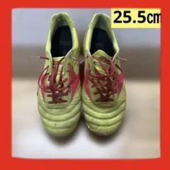 MIZUNO 【モレリア2JAPAN】 限定カラー　25.5㎝