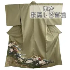 単衣 色留袖 紋無し 着物 鶴 梅 扇 金彩加工
