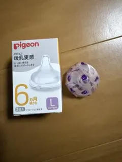 Item thumbnail for item 9ec6f6fe-ebe7-4caa-896a-69488f64b349