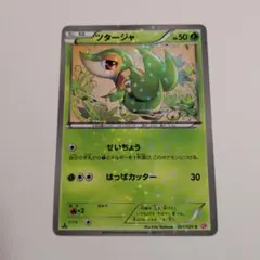 BW-P ツタージャ ポケモンスマイルスクール PROMO - メルカリ