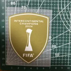 サッカー胸部プリン（1枚）