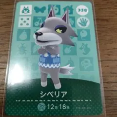 あつまれどうぶつの森　amiiboカード　シベリア