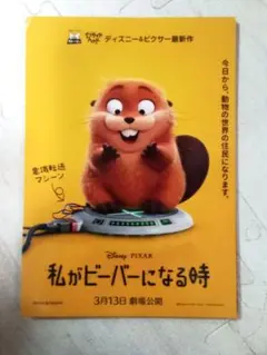私がビーバーになる時 　映画チラシ