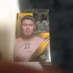 RIZINウエハース2025 上田幹雄選手