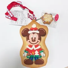 TDR 2012クリスマス限定パスケース