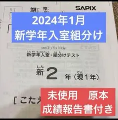 2025年最新】sapix 入室テスト 新2年の人気アイテム - メルカリ