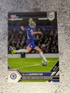 Item thumbnail for item e170805b-c5b0-4523-b318-1494c4797868