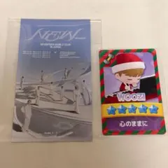 SEVENTEEN セブチ NEW_ パズチ トレカ ウジ ピクチャーチケット