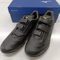 新品未使用 MIZUNO 野球 スパイク