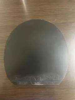 ディグニクス09C