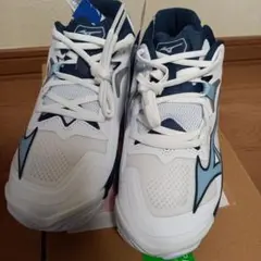 Mizuno Wave Lightning Z6 バレーボールシューズ　25.0