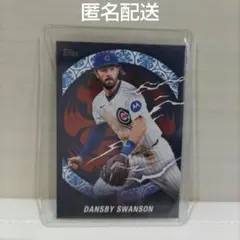 2025年最新】ダンズビー・スワンソンの人気アイテム - メルカリ