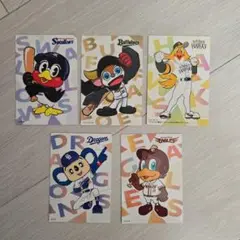 プロ野球チップス　2025 チェックリストカード