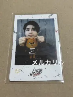 StrayKids SKZ-X SKZOO ポラロイド風トレカセット Stray Kids スキズ ポラロイド風トレカ 9枚セット（おまけ付き