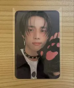 THE BOYZ the boyz ソヌ sunwoo トレカ 猫 ネコ cat