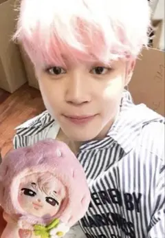 2025年最新】ジミン マスター ぬいぐるみの人気アイテム - メルカリ