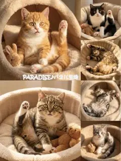 kaco18様 リクエスト 6点 まとめ商品