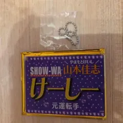 ぽかぽかアクリルネームキーホルダー SHOW-WA 山本佳志