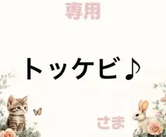 専用