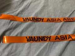【さくらさん専用】9/6 幕張　Vaundy HORO 銀テープ
