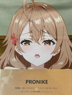 マーシャさん バスタオルタペストリー