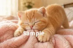 ふみふみ子猫 デジタルアート イラスト