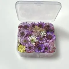 Item thumbnail for item cd19bb5f-c287-4000-b9b1-21b13cafc63f