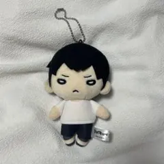 2025年最新】にとたん ハイキュー ぬいぐるみ 影山の人気