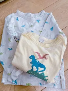 プティマイン　恐竜柄　ロンT 2枚セット　100サイズ