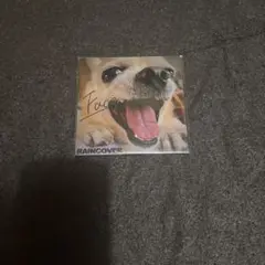 RAINCOVER Face CD
