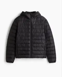 Item thumbnail for item fb33097b-f1ec-4fb8-ad01-44038ffdaf71