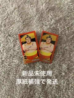 大相撲ガチャ 大相撲ステッカーシール 熱海富士 2枚