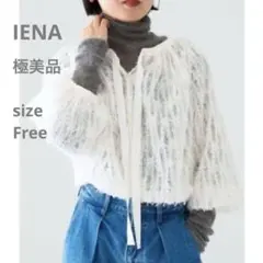 極美品☆IENA フェザーチュールブラウス